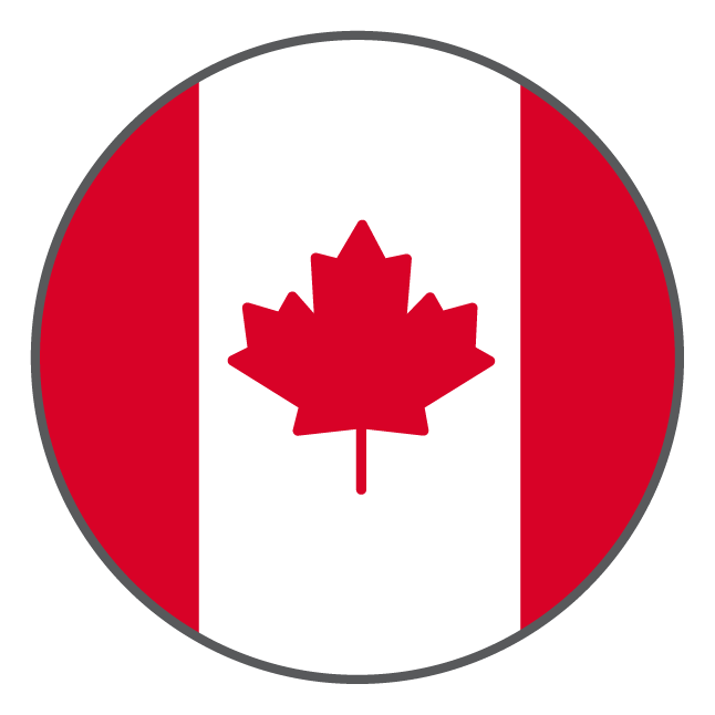 icon-can-flag